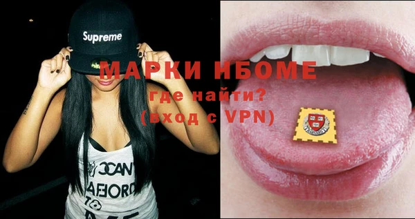 амф Верхний Тагил