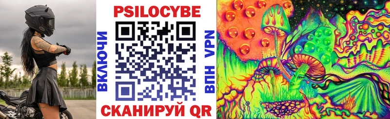 Купить закладки  Покровск  Псилоцибиновые грибы мухоморы 